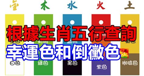 生肖五行顏色|根據生肖五行查詢幸運色和倒霉色